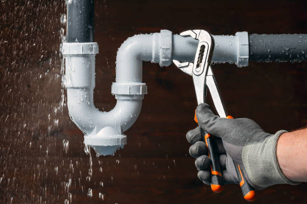 Professional Plumbing technician working in Newport, MI